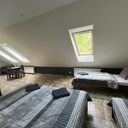 Koci Grzbiet * Dzierzazno Wielkie