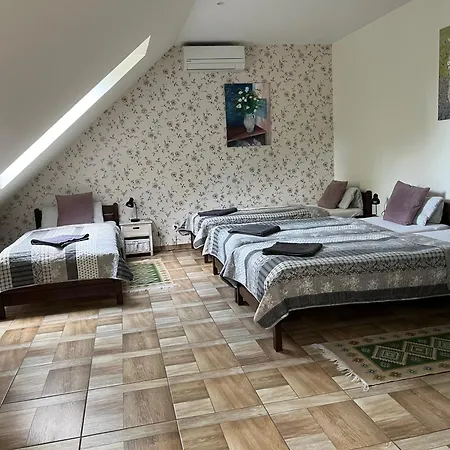 Koci Grzbiet *