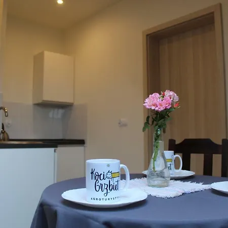 Gospodarstwo agroturystyczne Koci Grzbiet *