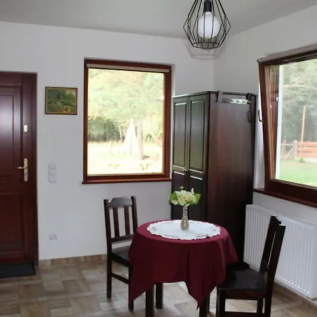Farm stay Koci Grzbiet Dzierzazno Wielkie