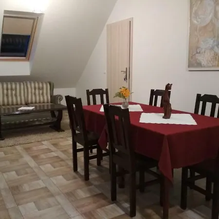 Koci Grzbiet