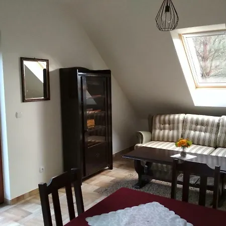 Koci Grzbiet Farm stay *