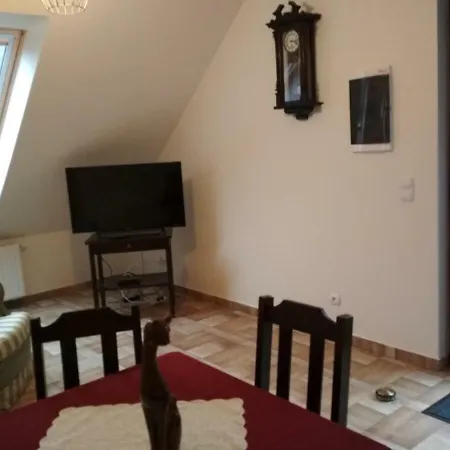 Farm stay Koci Grzbiet *