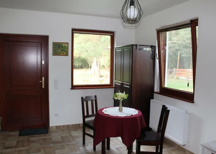 Farm stay Koci Grzbiet Dzierzazno Wielkie