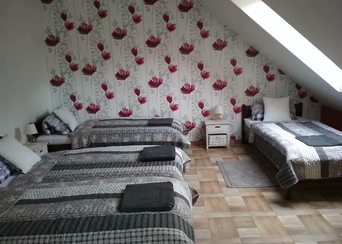 Koci Grzbiet Farm stay *