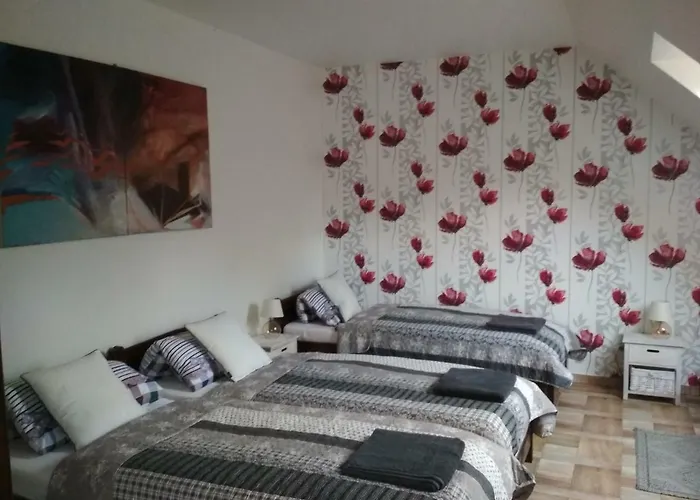 Koci Grzbiet Farm stay *