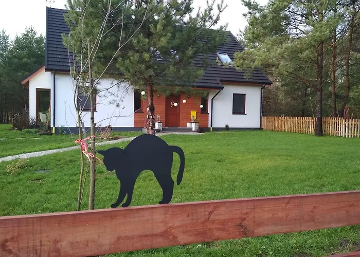 Koci Grzbiet Dzierzazno Wielkie