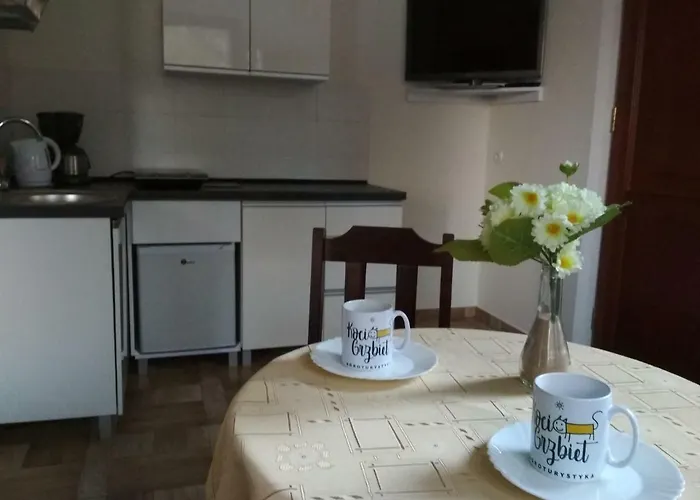 Koci Grzbiet Farm stay