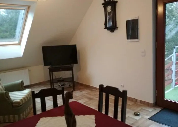 Farm stay Koci Grzbiet *